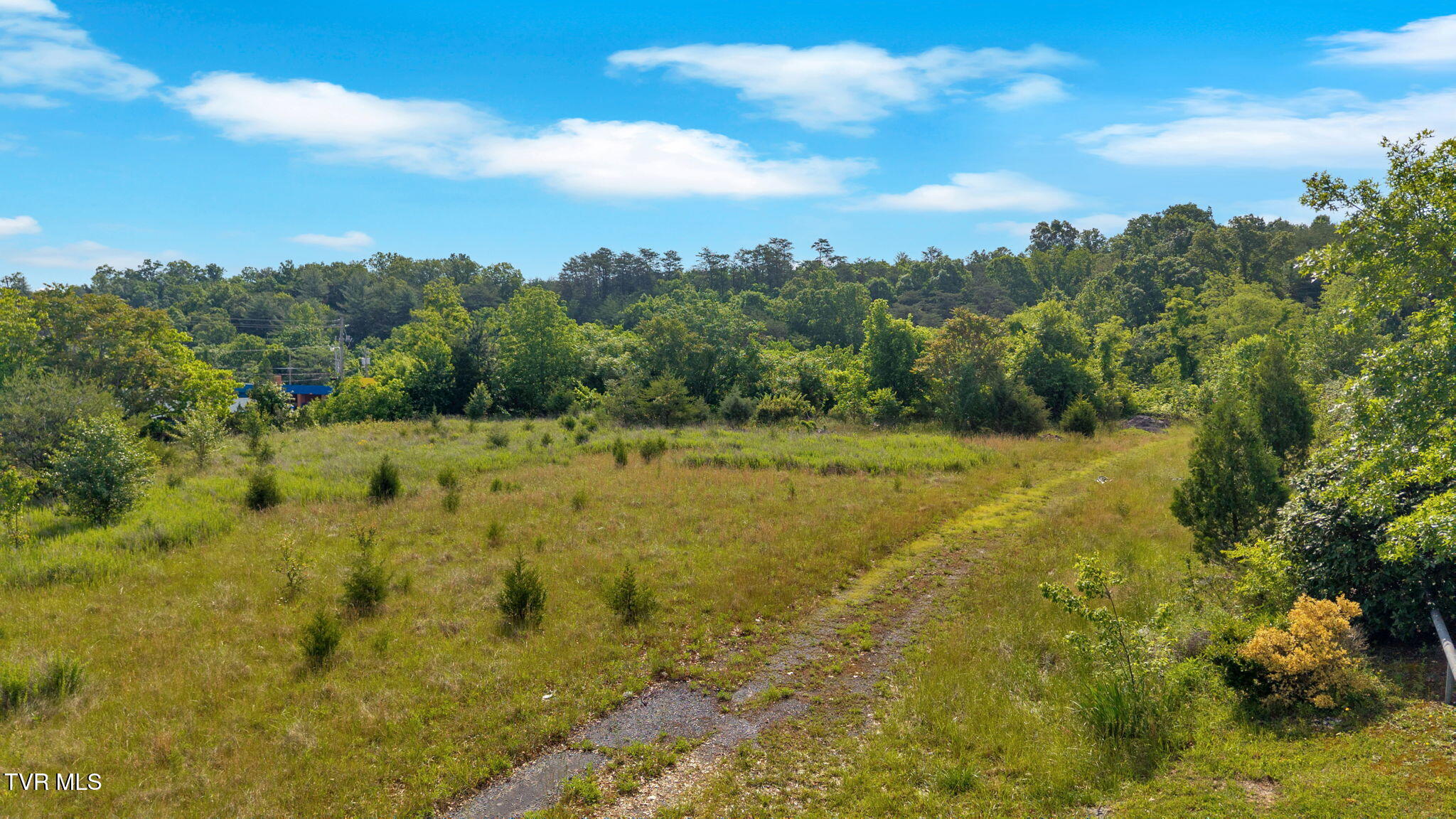 Tbd Bristol Highway, Johnson City, Tennessee image 4