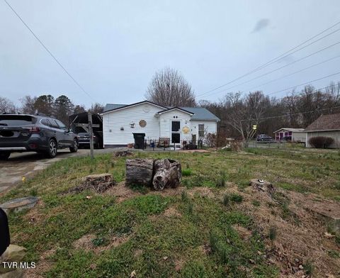 Photo of 421 Juniper Street, Greeneville, TN 37745 (MLS # 9992074)