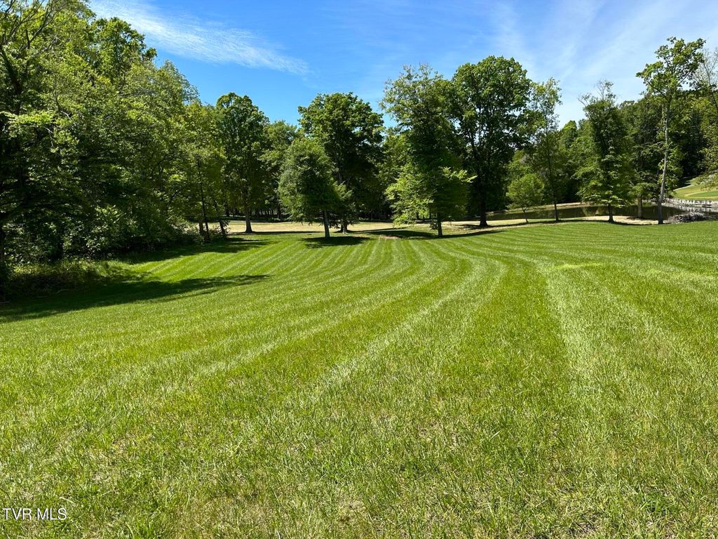 Photo of 2122 Chimney Top Lane, Chuckey, TN 37641 (MLS # 9990110)