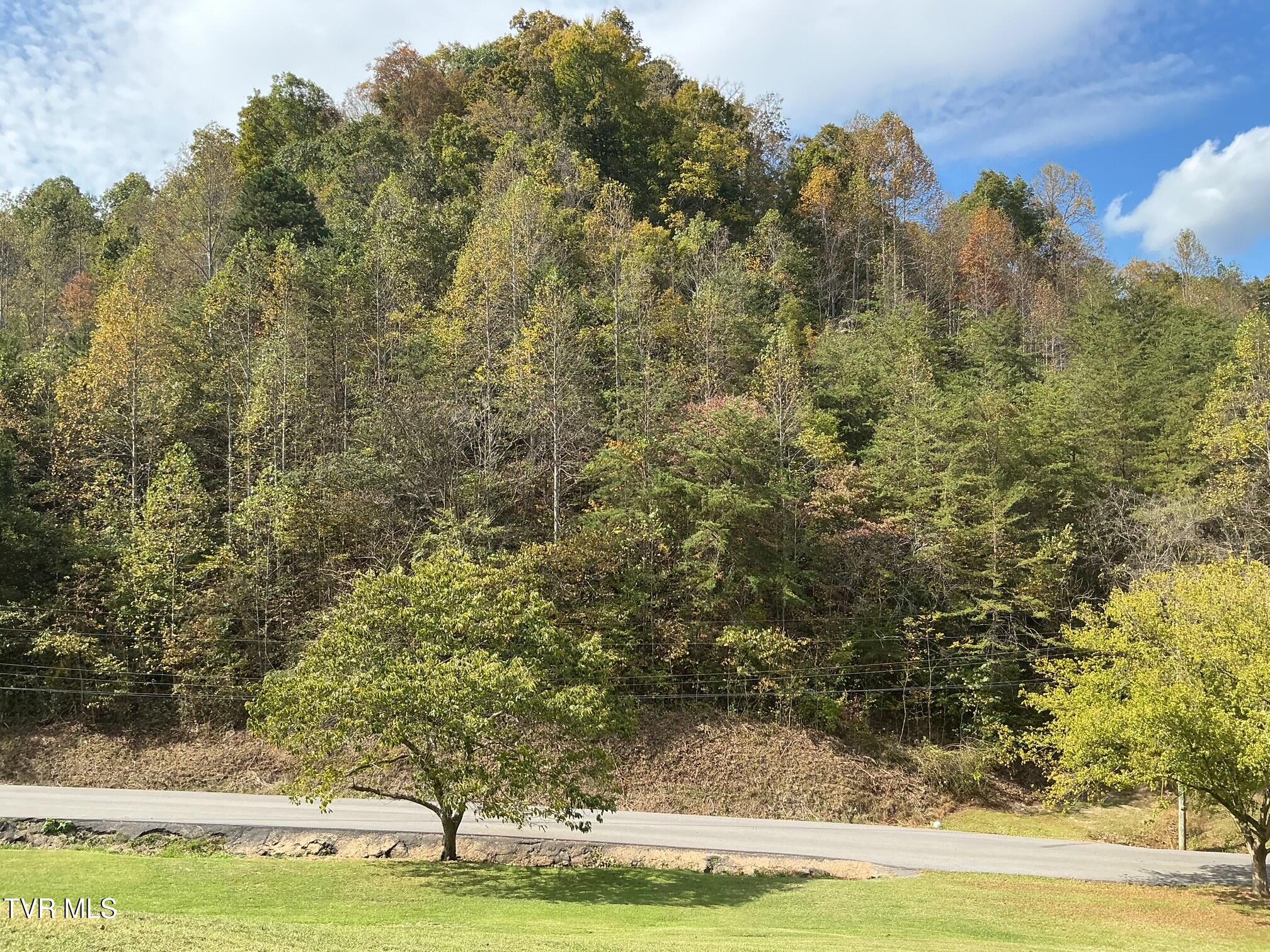 645 Light Hollow Road
