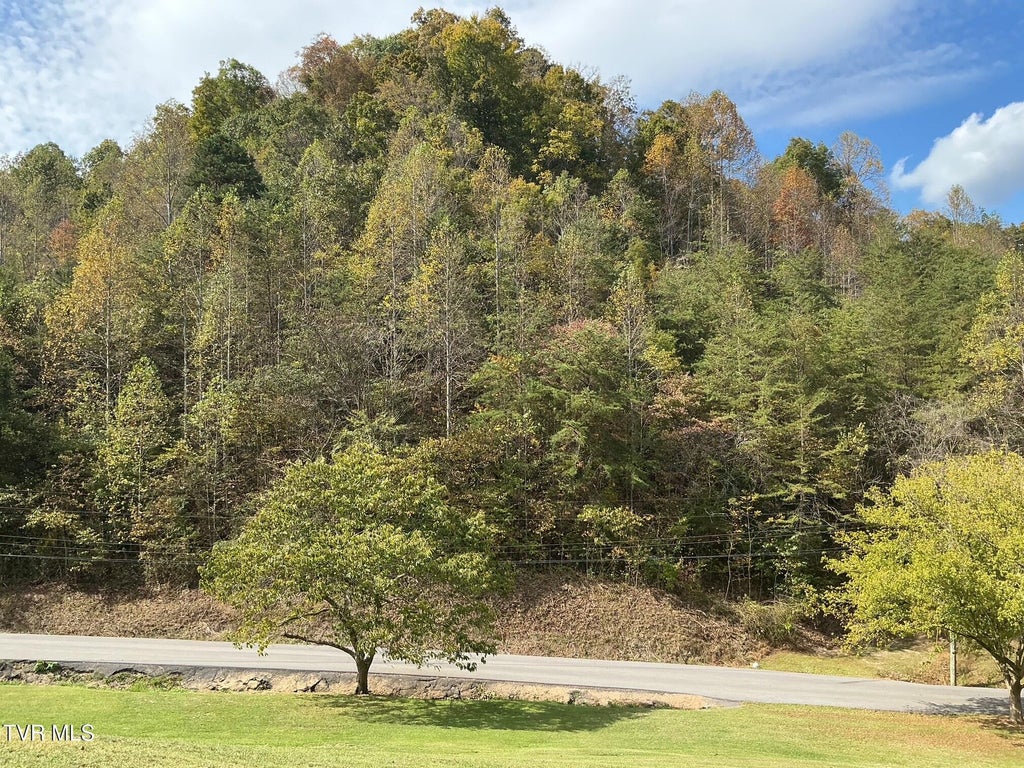 Photo of 645 Light Hollow Road, Rogersville, TN 37857 (MLS # 10002400)