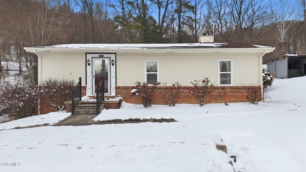 Photo of 221 Charleston Street, Weber City, VA 24290 (MLS # 9990820)