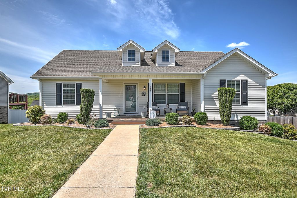 Photo of 134 May Apple Drive, Bluff City, TN 37618 (MLS # 9994587)