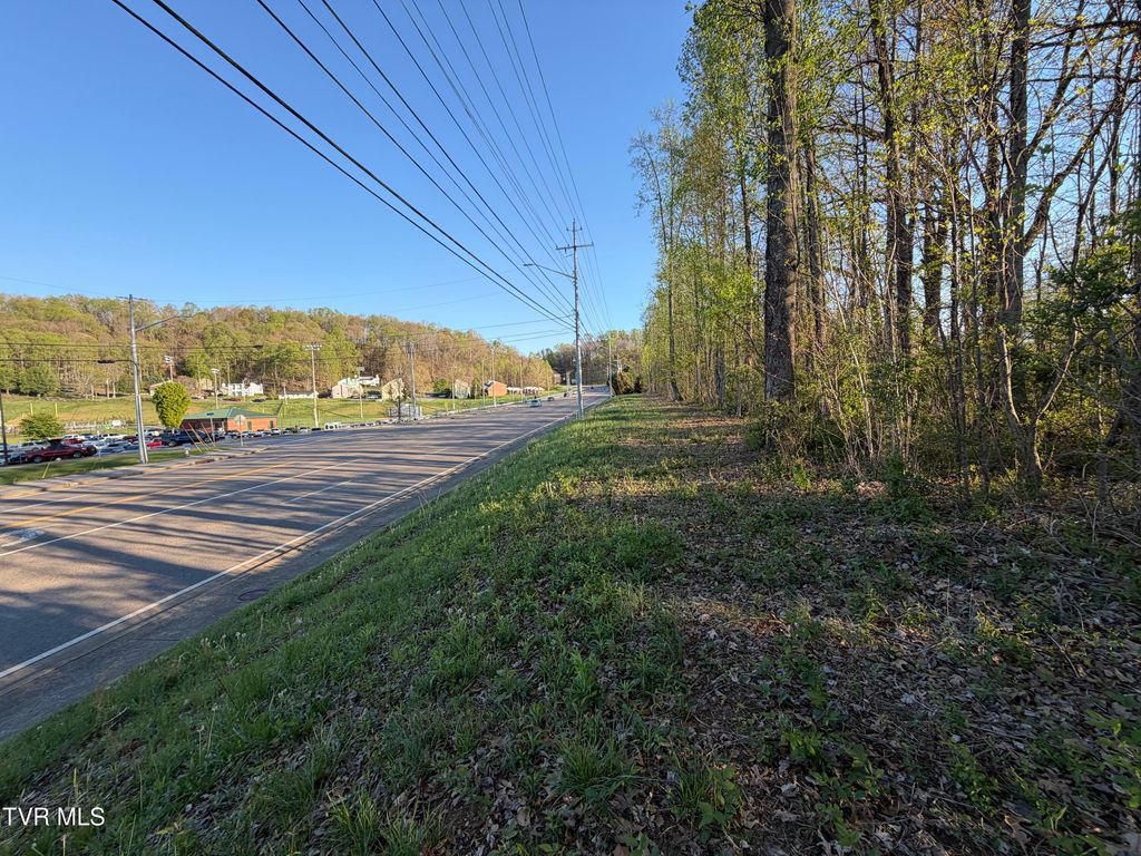Photo of Tbd Roan Street, Johnson City, TN 37601 (MLS # 9993530)