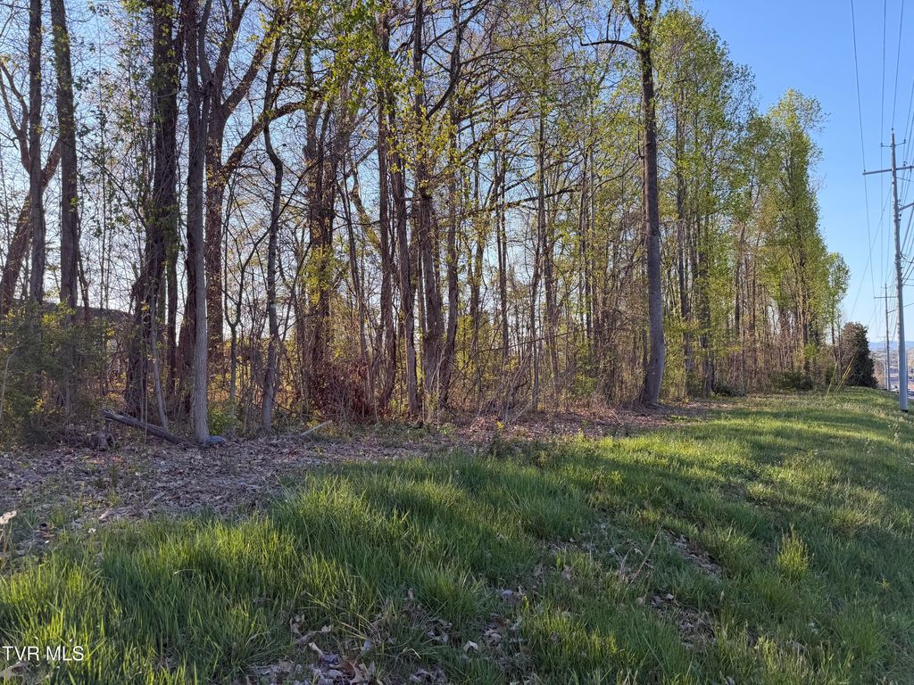 Photo of Tbd Roan Street, Johnson City, TN 37601 (MLS # 9993530)