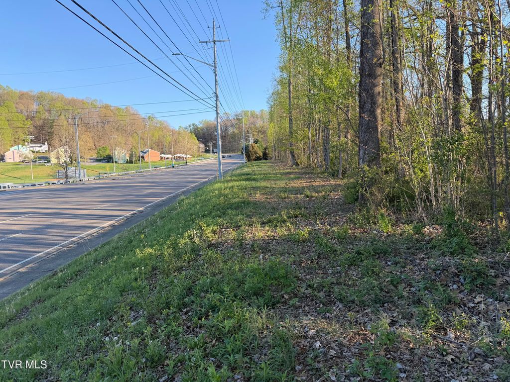 Photo of Tbd Roan Street, Johnson City, TN 37601 (MLS # 9993530)