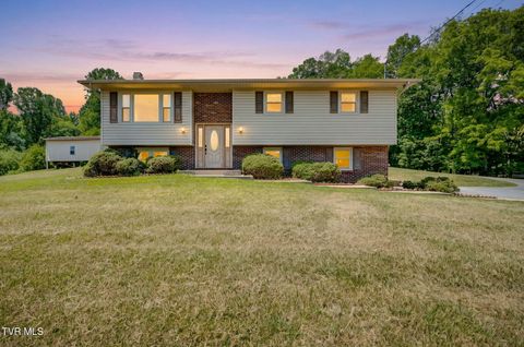 Photo of 288 Brookside Lane, Bluff City, TN 37618 (MLS # 9995648)