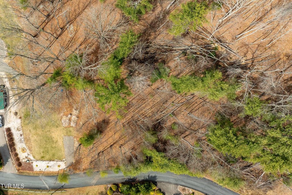 Photo of 4 Of Forge Creek Road, Mountain City, TN 37683 (MLS # 9992195)