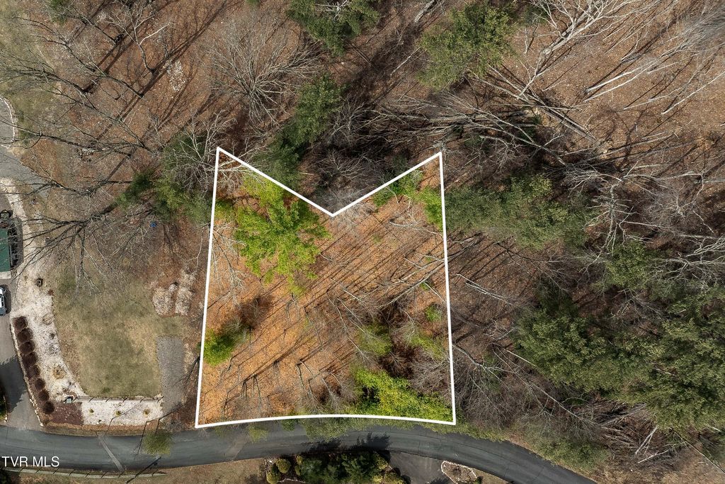 Photo of 4 Of Forge Creek Road, Mountain City, TN 37683 (MLS # 9992195)