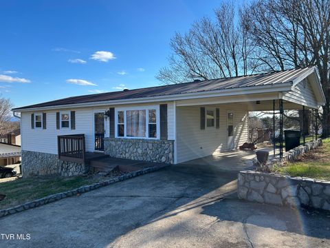 Photo of 211 Linda Street, Greeneville, TN 37743 (MLS # 9991778)