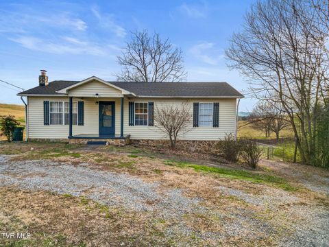 Photo of 255 Sioux Trail, Greeneville, TN 37743 (MLS # 9989898)