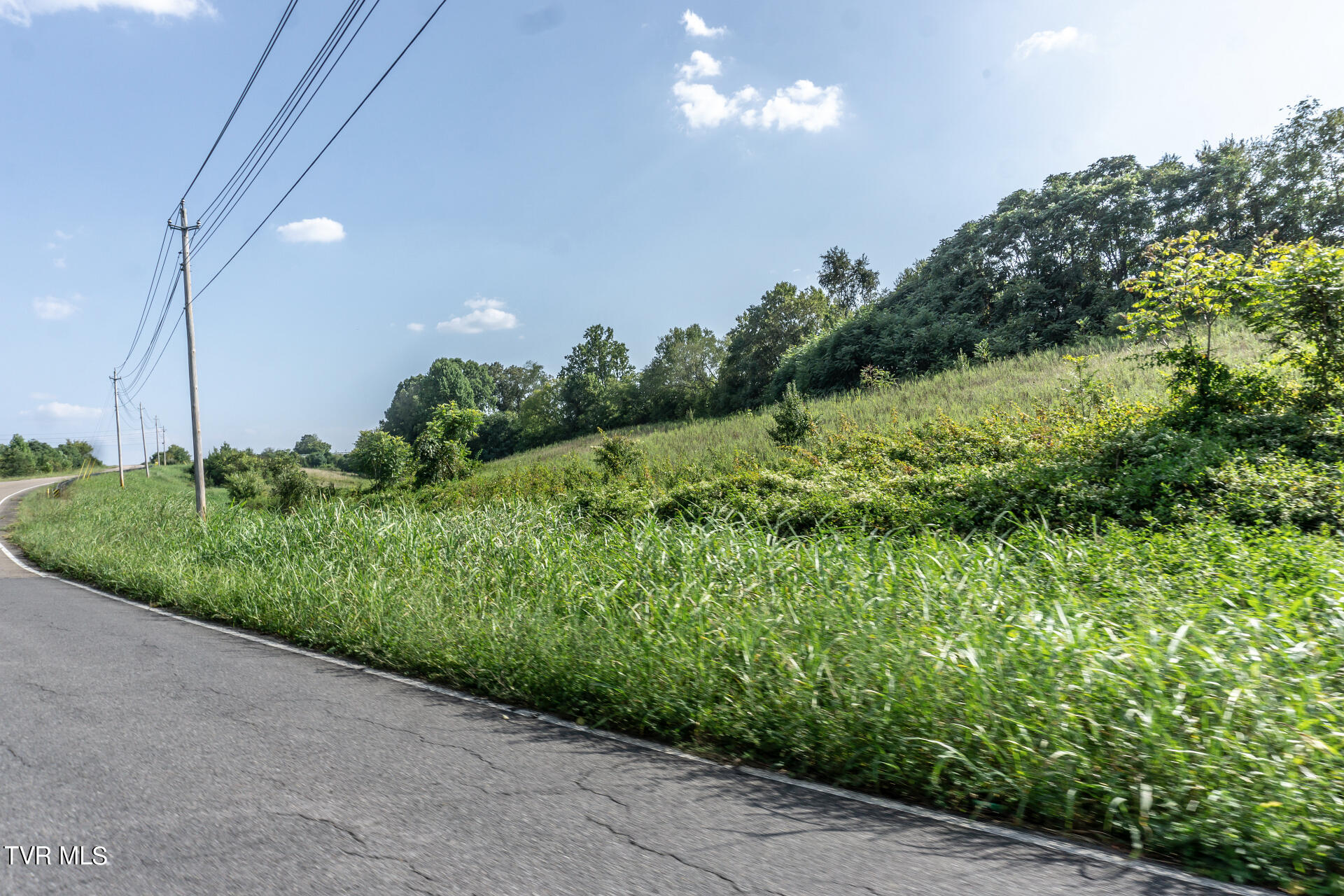 8.73 Ac Highway 321, Parrottsville, Tennessee image 3