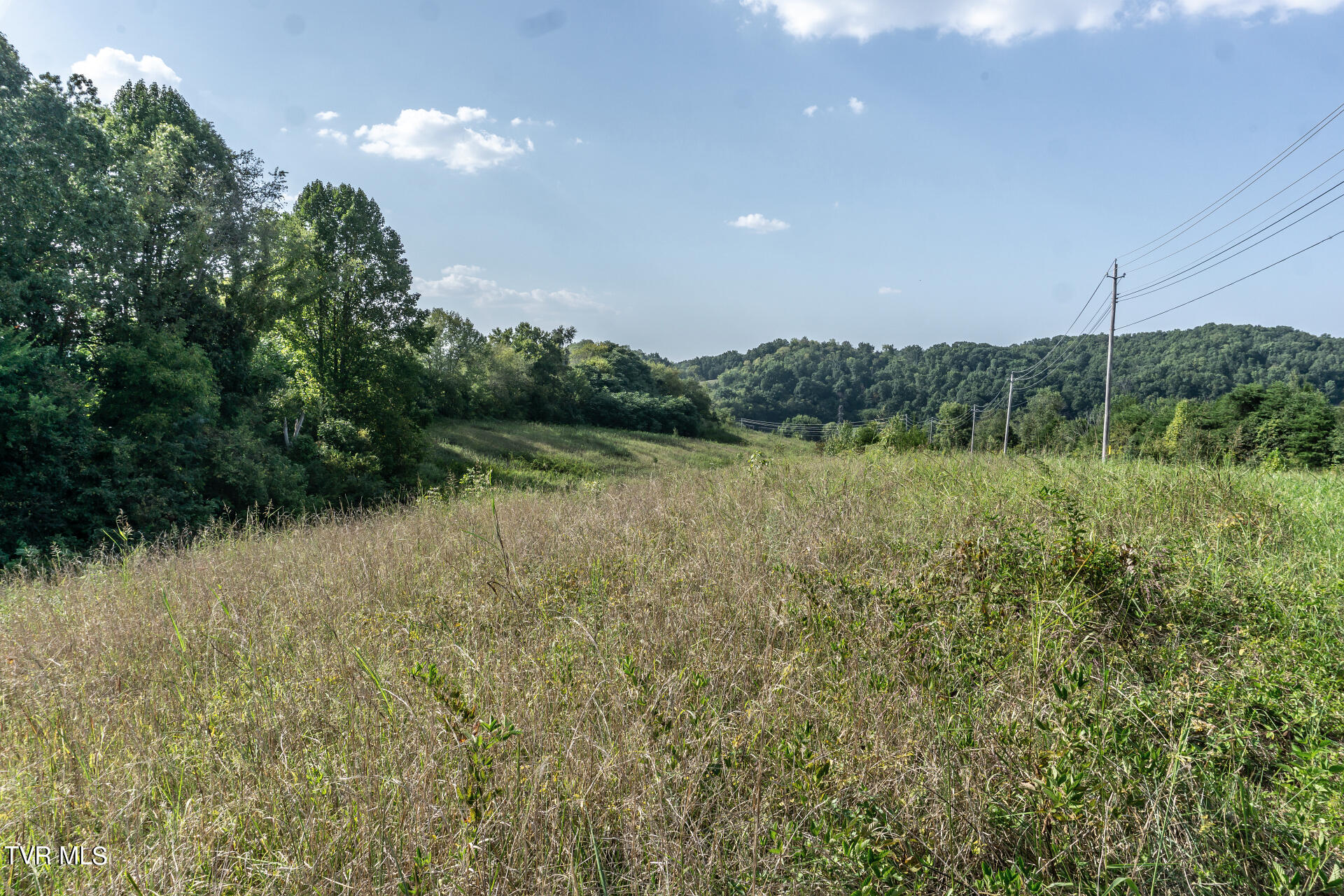 8.73 Ac Highway 321, Parrottsville, Tennessee image 2