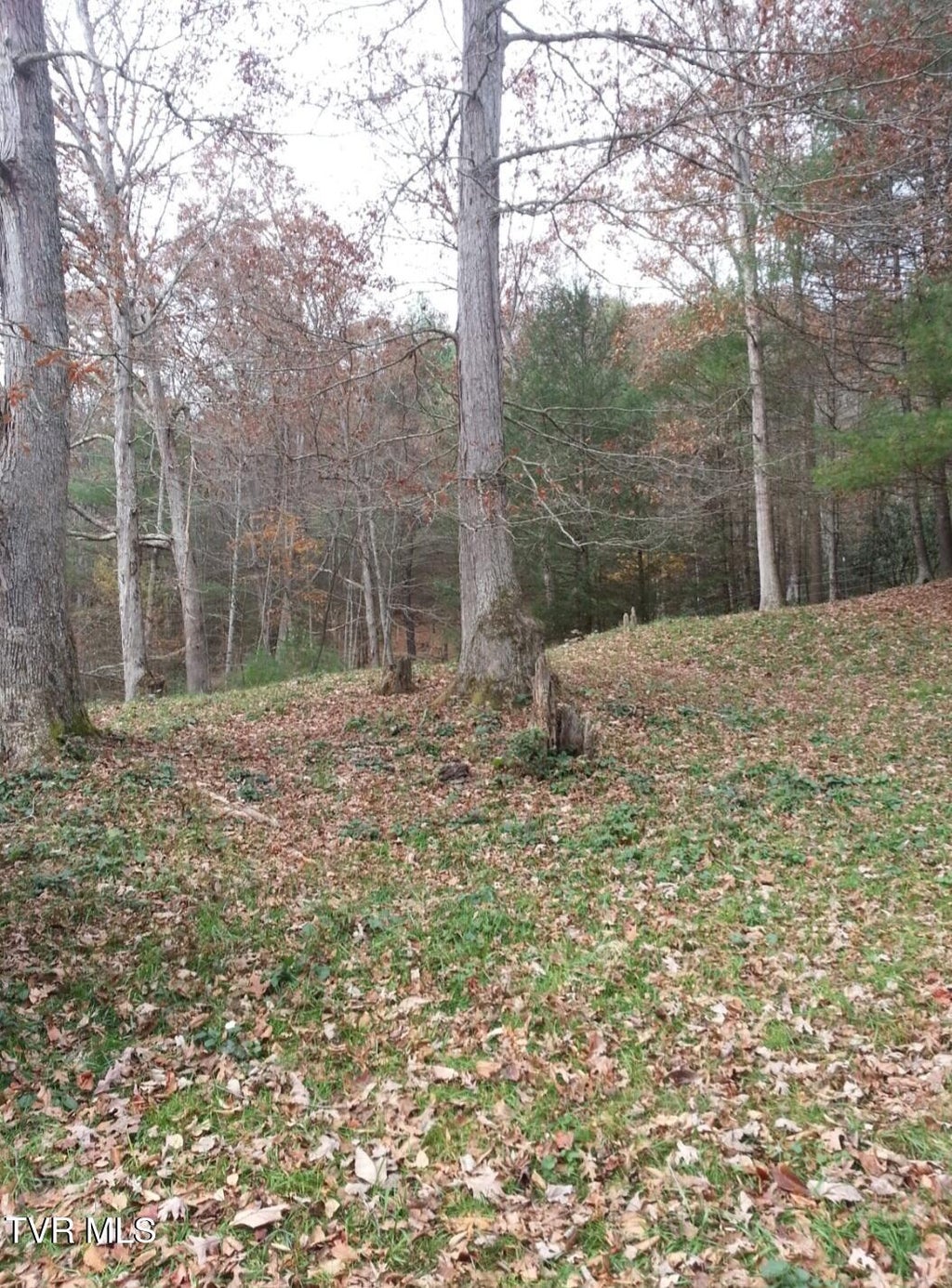 Photo of Tbd Waters Road, Laurel Bloomery, TN 37680 (MLS # 10002346)