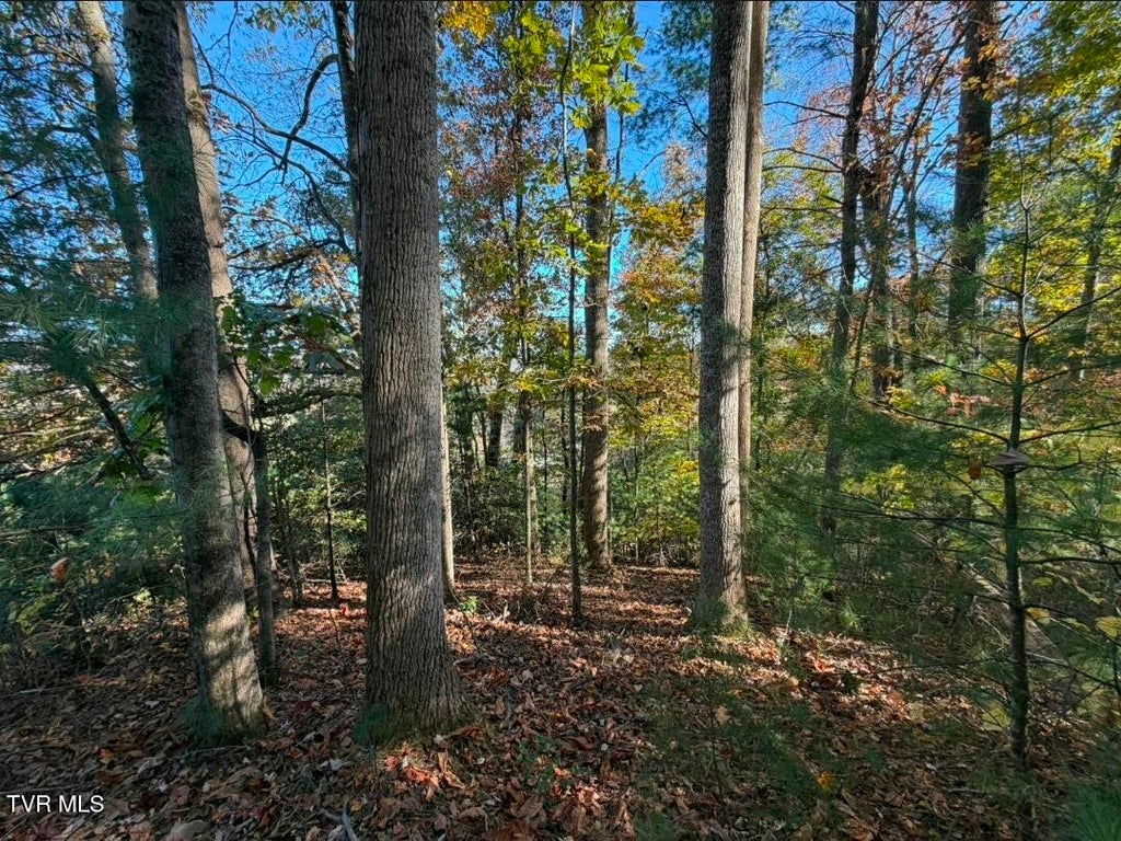 Photo of Tbd Waters Road, Laurel Bloomery, TN 37680 (MLS # 10002346)