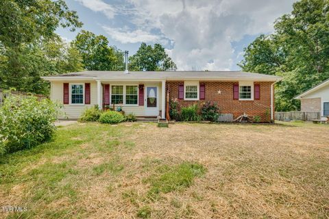 119 Belsay Drive Kingsport TN 37660