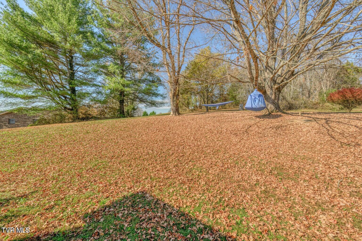 173 Hickory Hills Road, Church Hill, Tennessee image 34