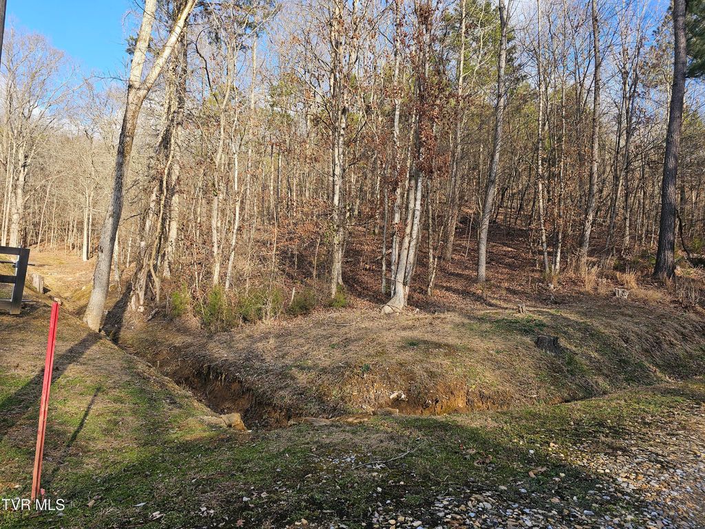 Photo of 0 Cherrybrook Way, Newport, TN 37821 (MLS # 9990625)