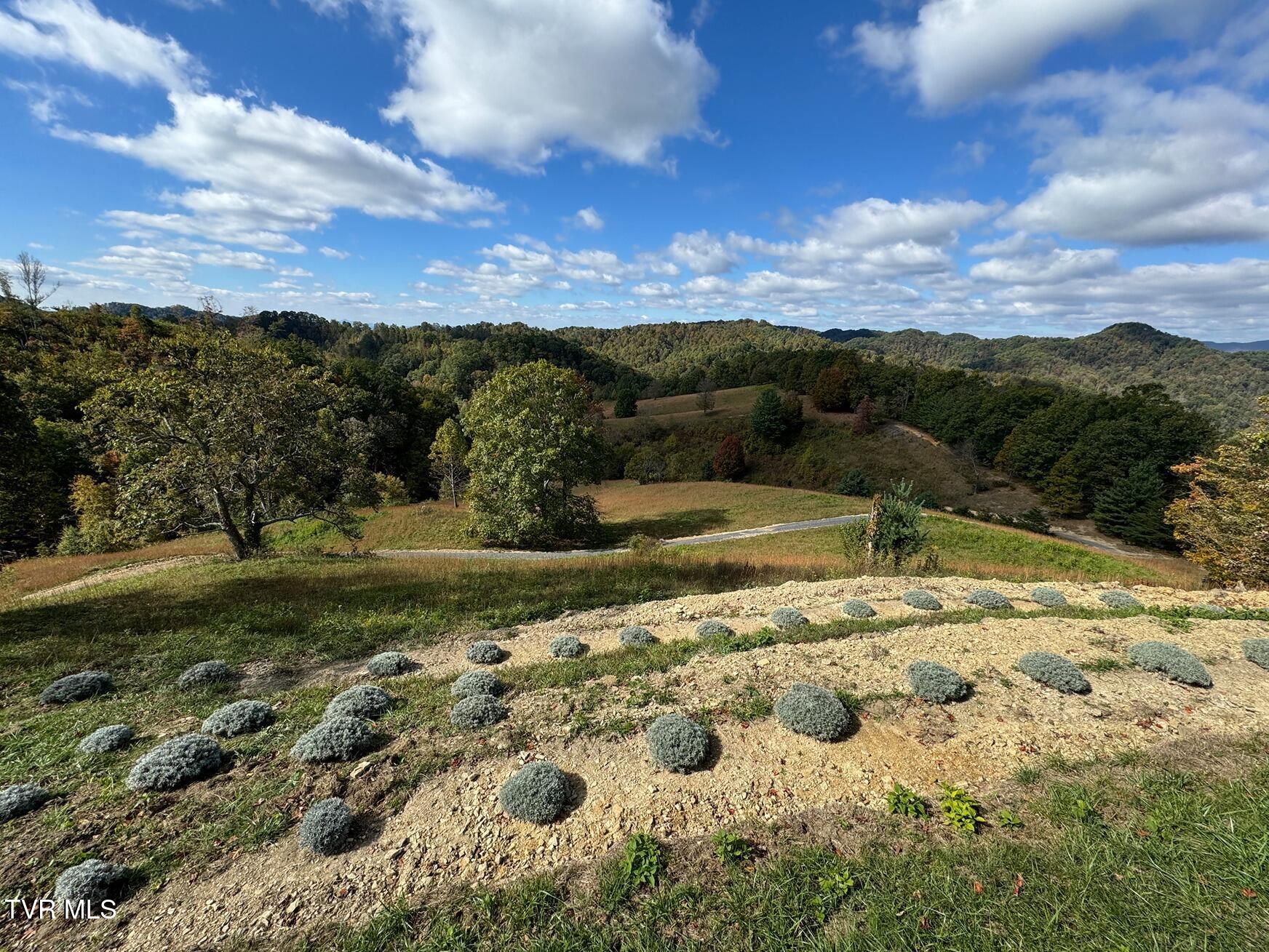 Tbd Shelleys Road, Bristol, Virginia image 15