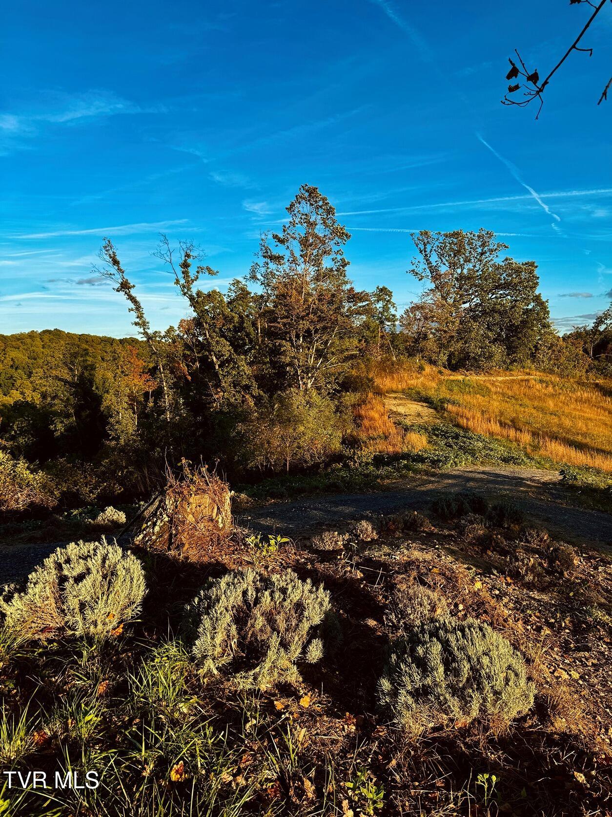 Tbd Shelleys Road, Bristol, Virginia image 9