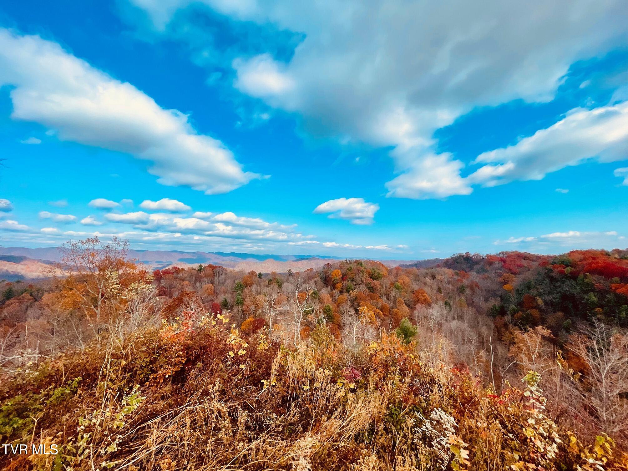 Tbd Shelleys Road, Bristol, Virginia image 49