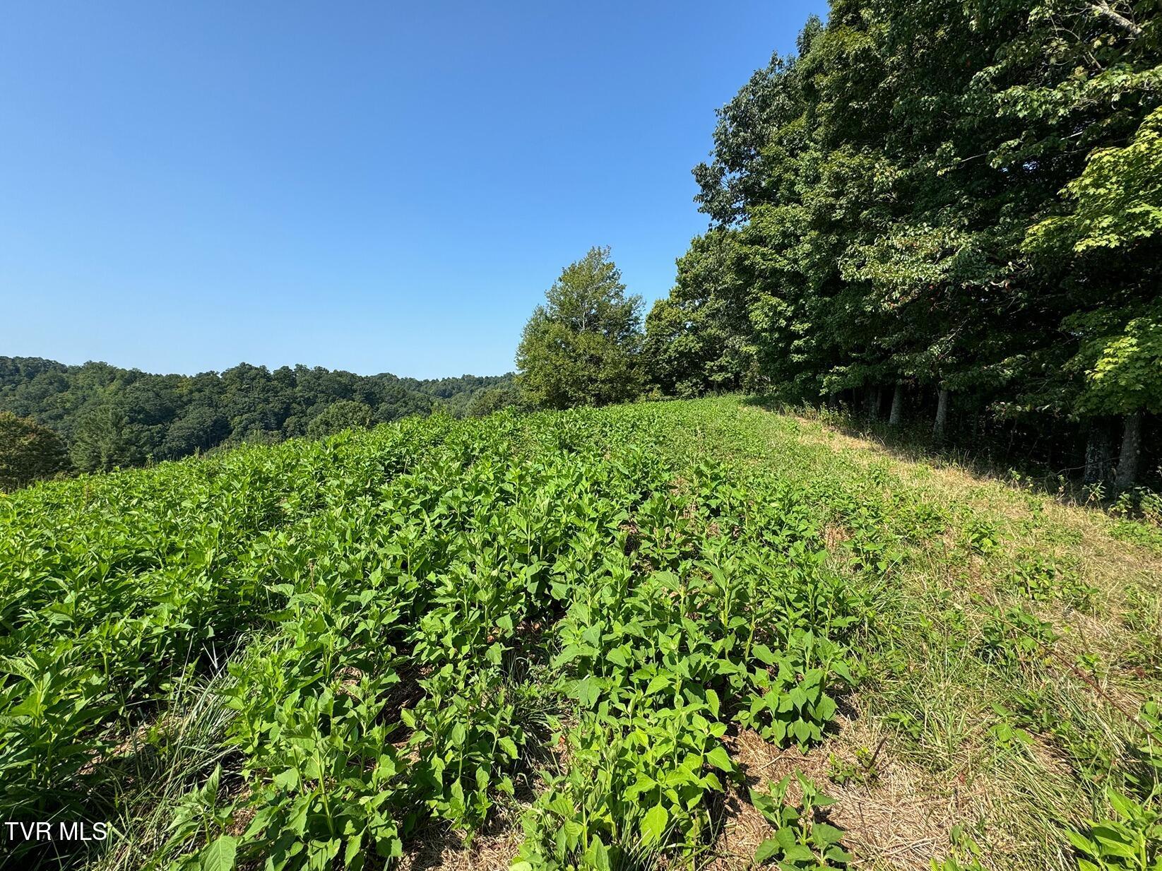 Tbd Shelleys Road, Bristol, Virginia image 23