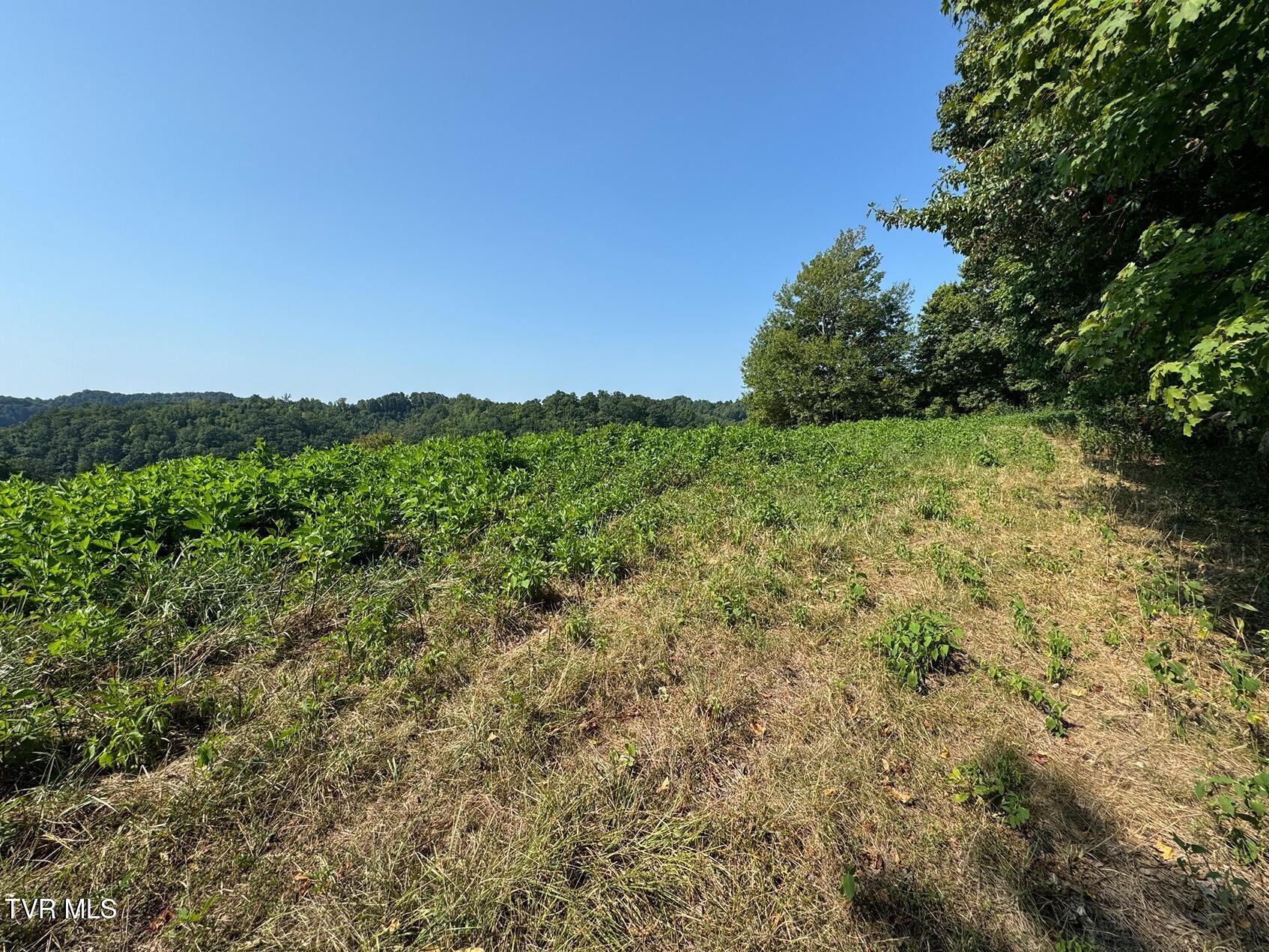 Tbd Shelleys Road, Bristol, Virginia image 24