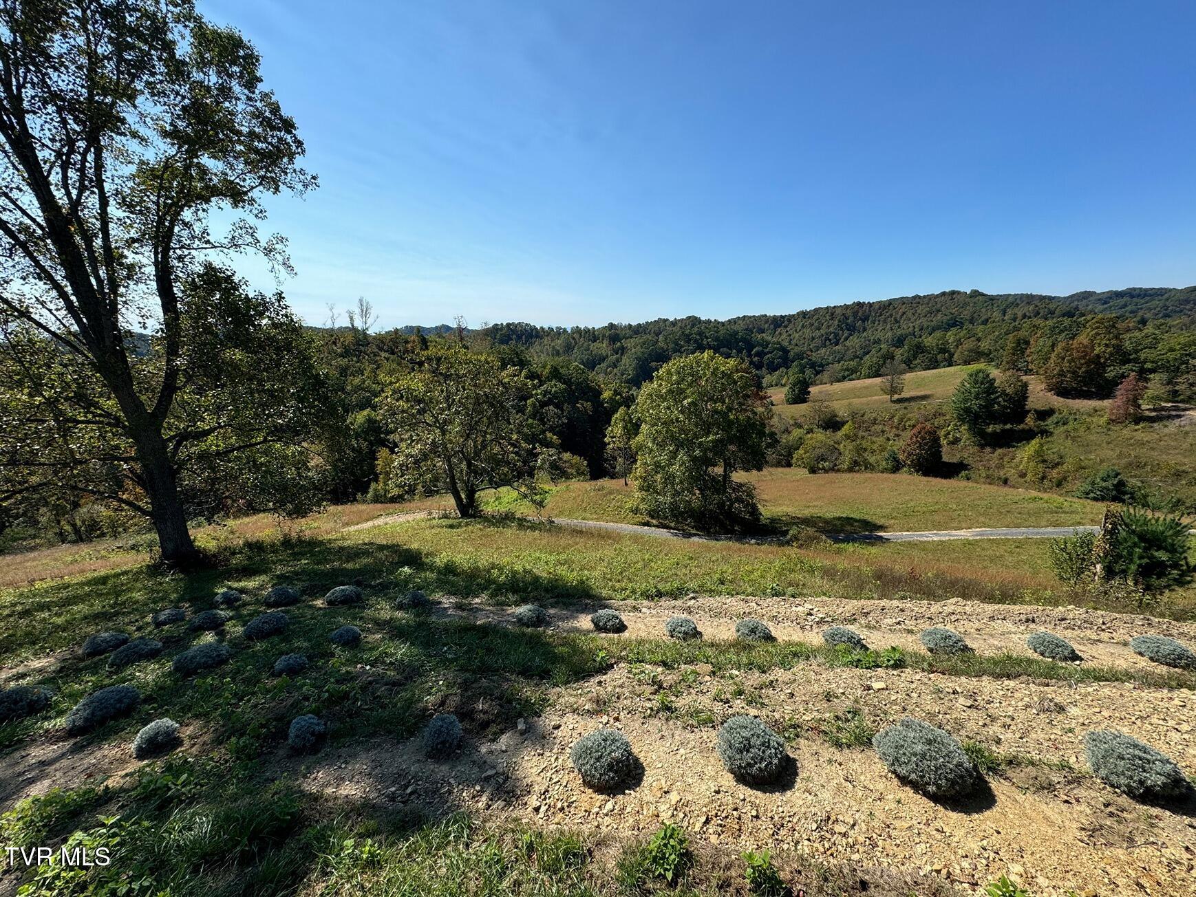 Tbd Shelleys Road, Bristol, Virginia image 12