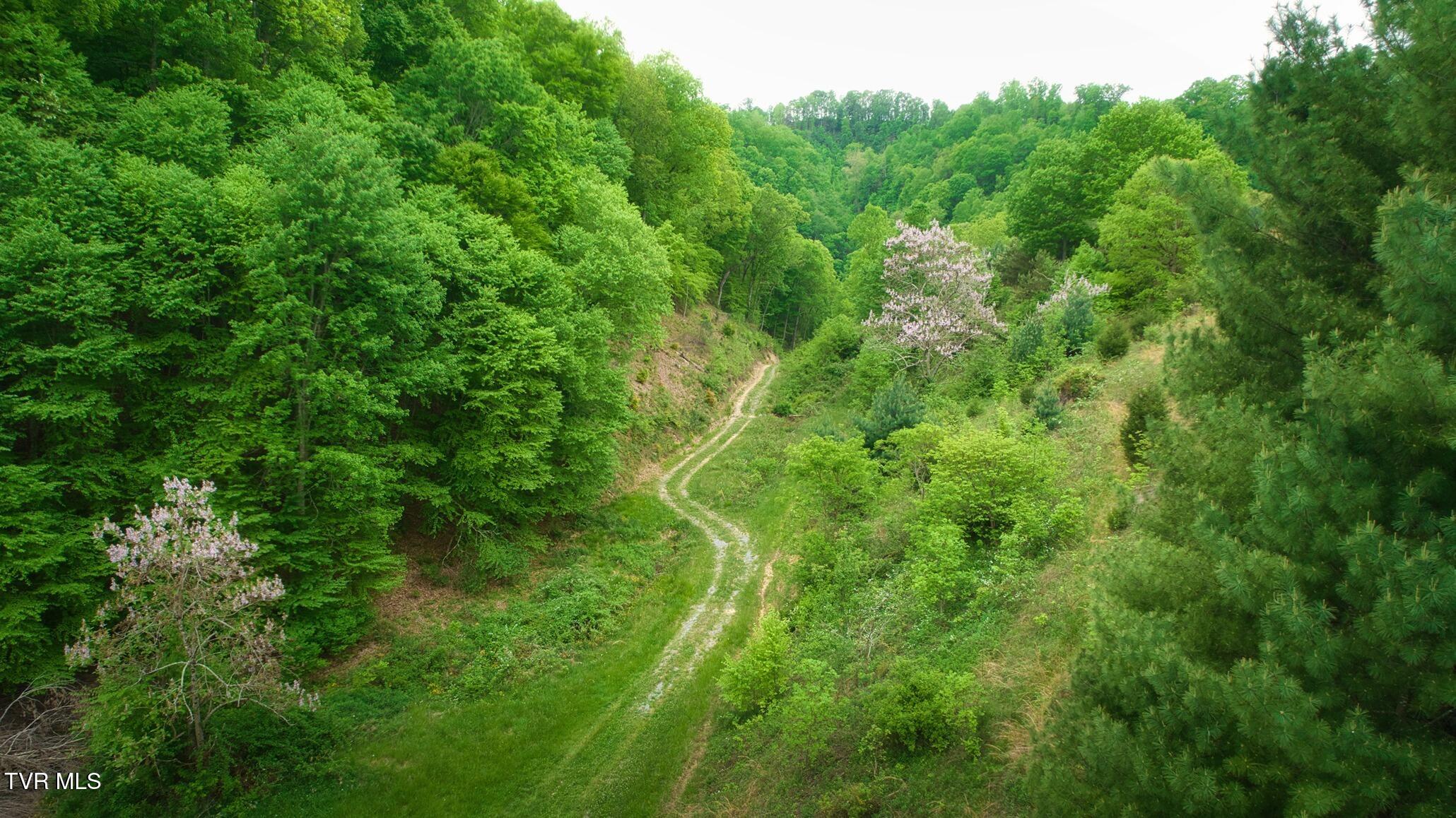 Tbd Shelleys Road, Bristol, Virginia image 26