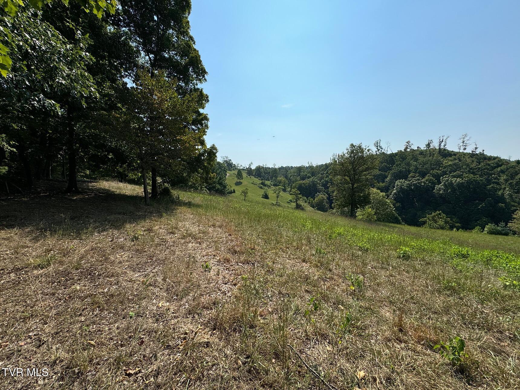 Tbd Shelleys Road, Bristol, Virginia image 18