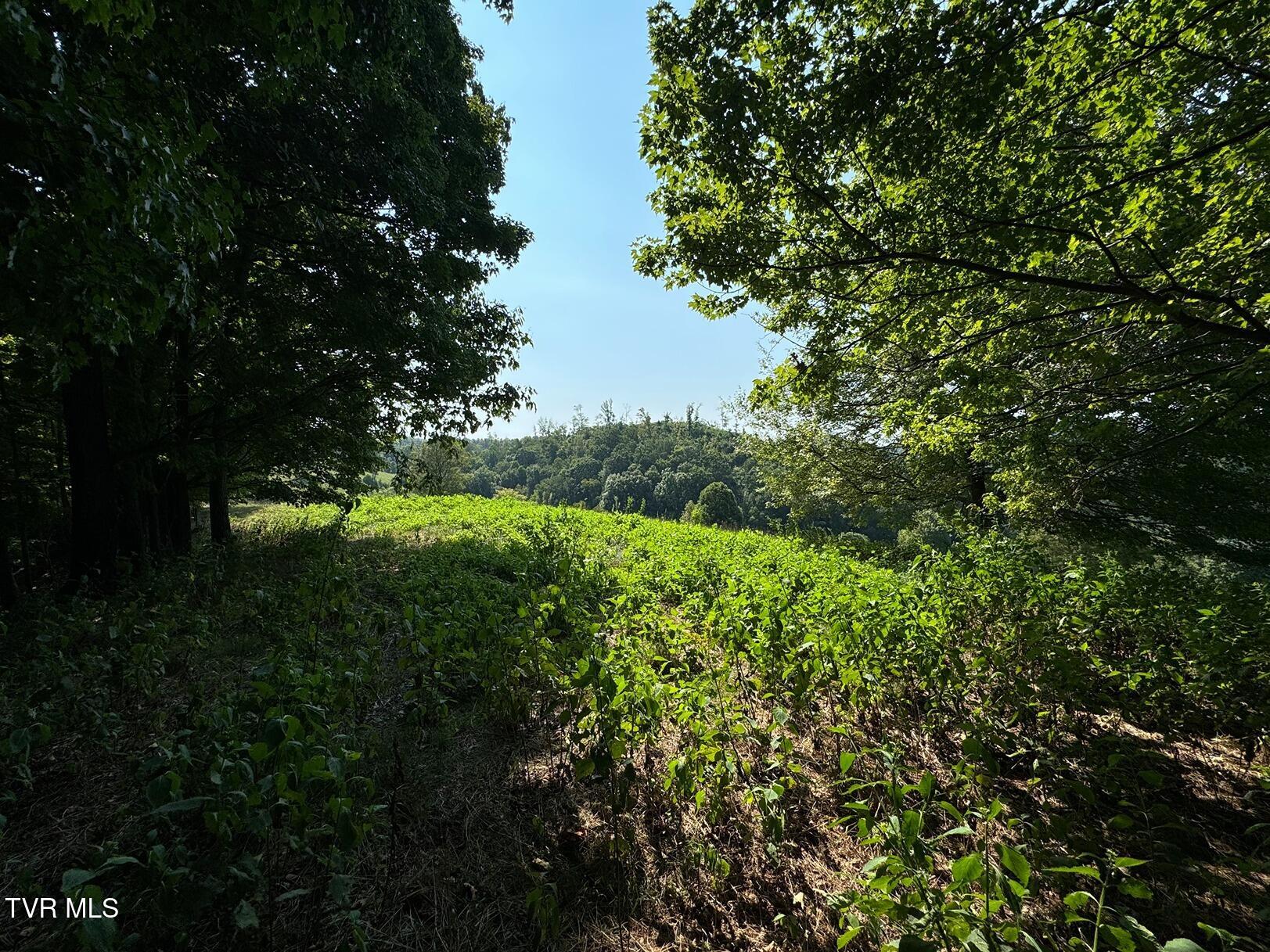 Tbd Shelleys Road, Bristol, Virginia image 20