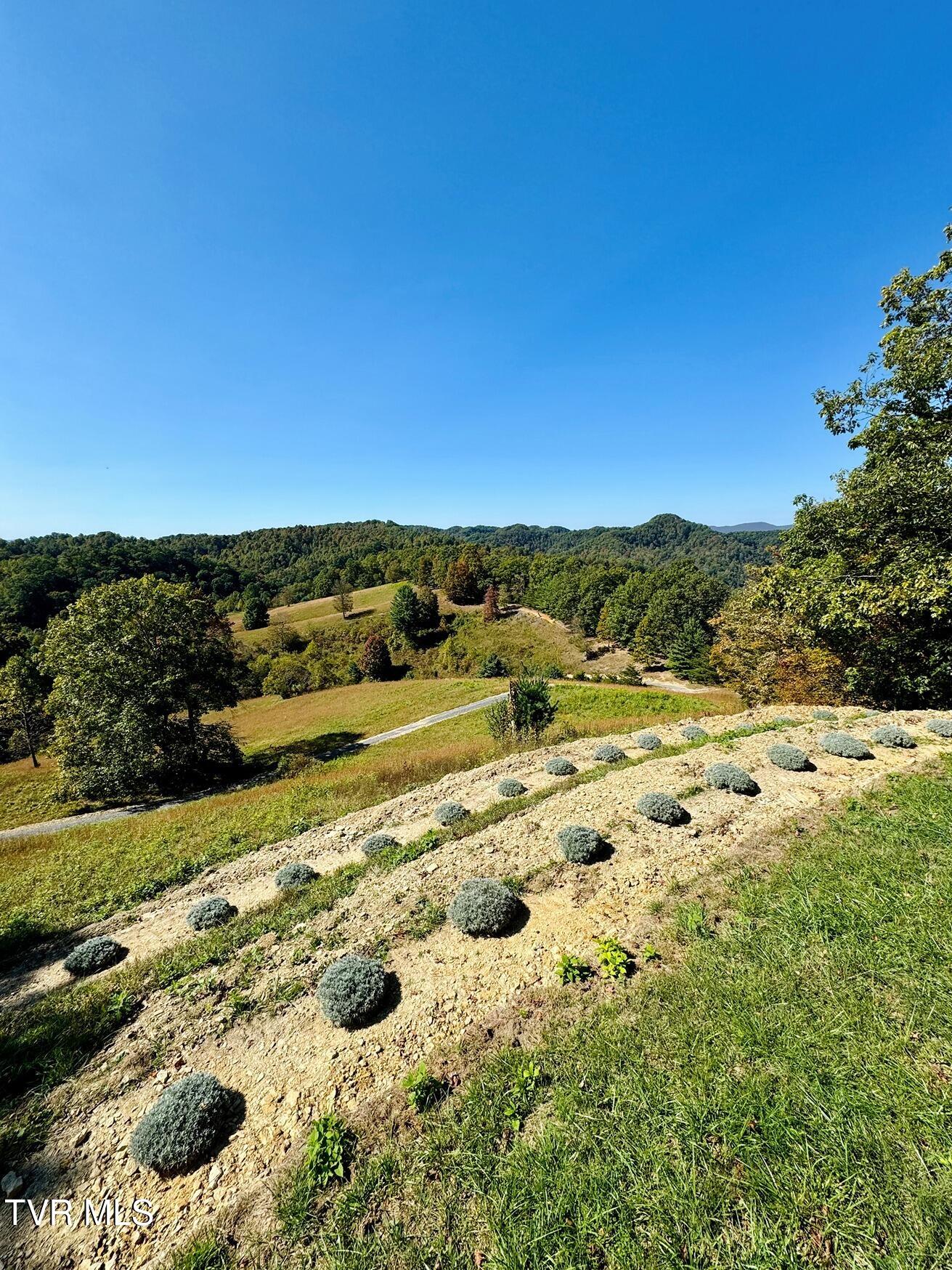 Tbd Shelleys Road, Bristol, Virginia image 13