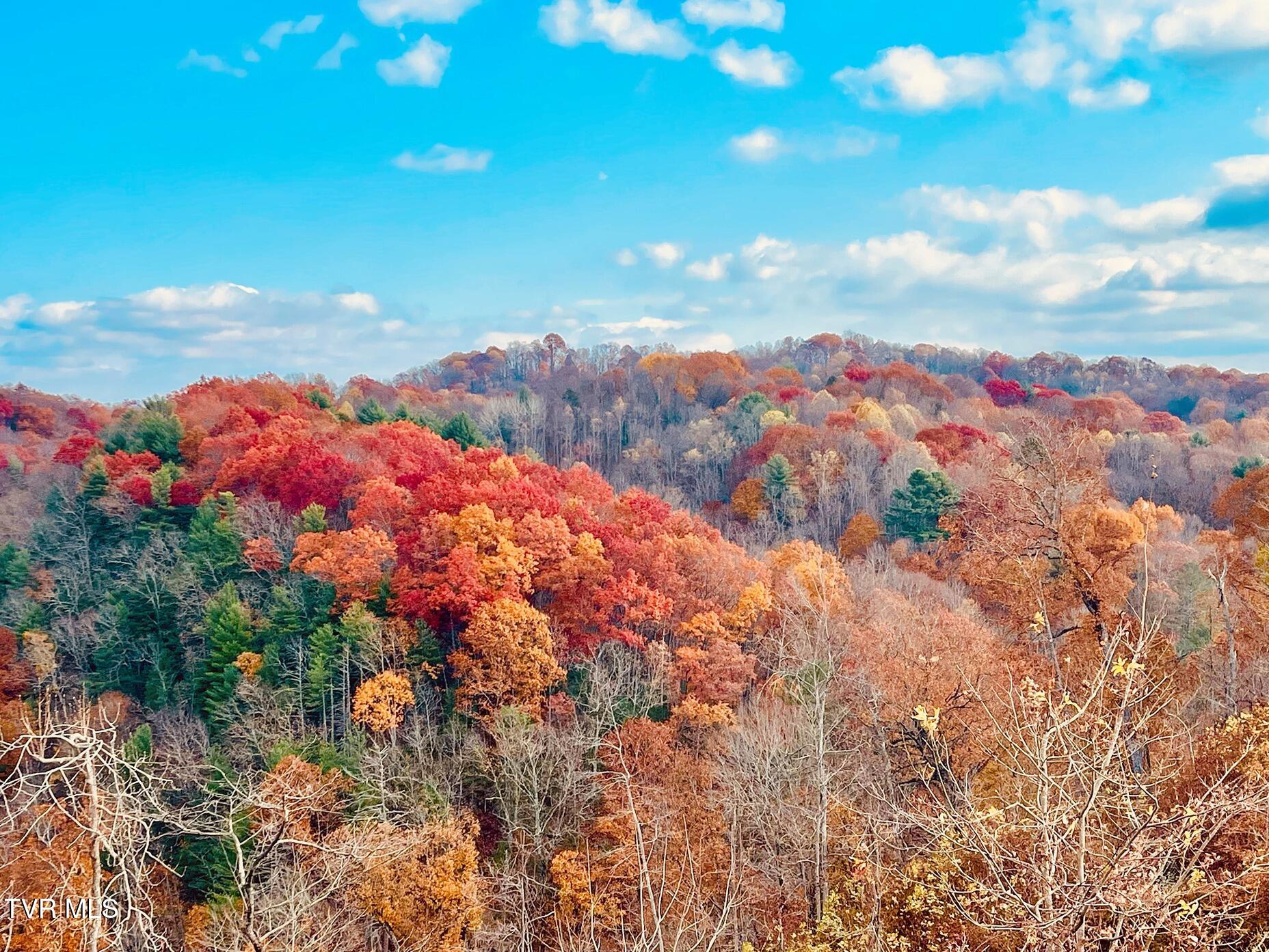 Tbd Shelleys Road, Bristol, Virginia image 48
