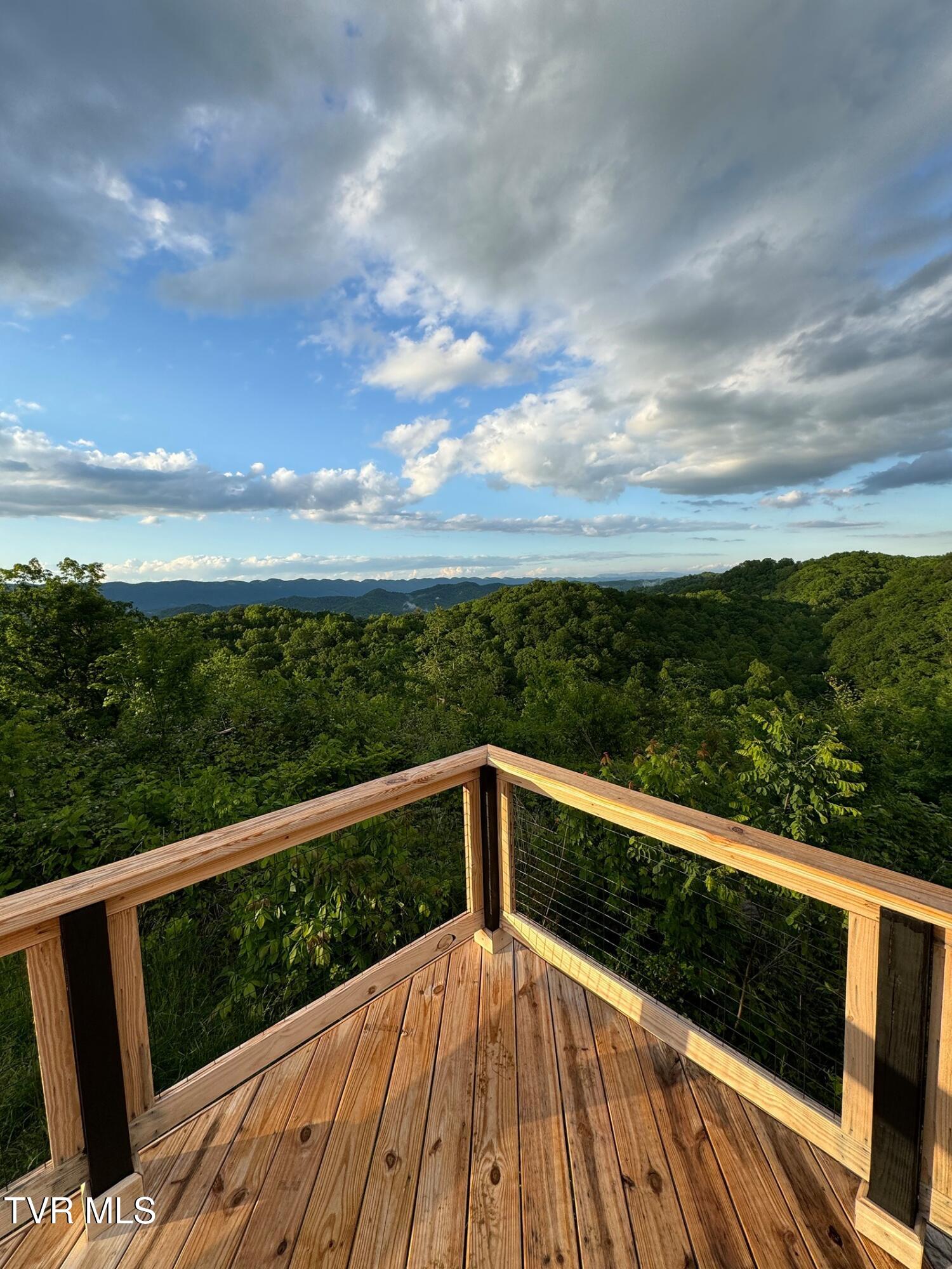 Tbd Shelleys Road, Bristol, Virginia image 16