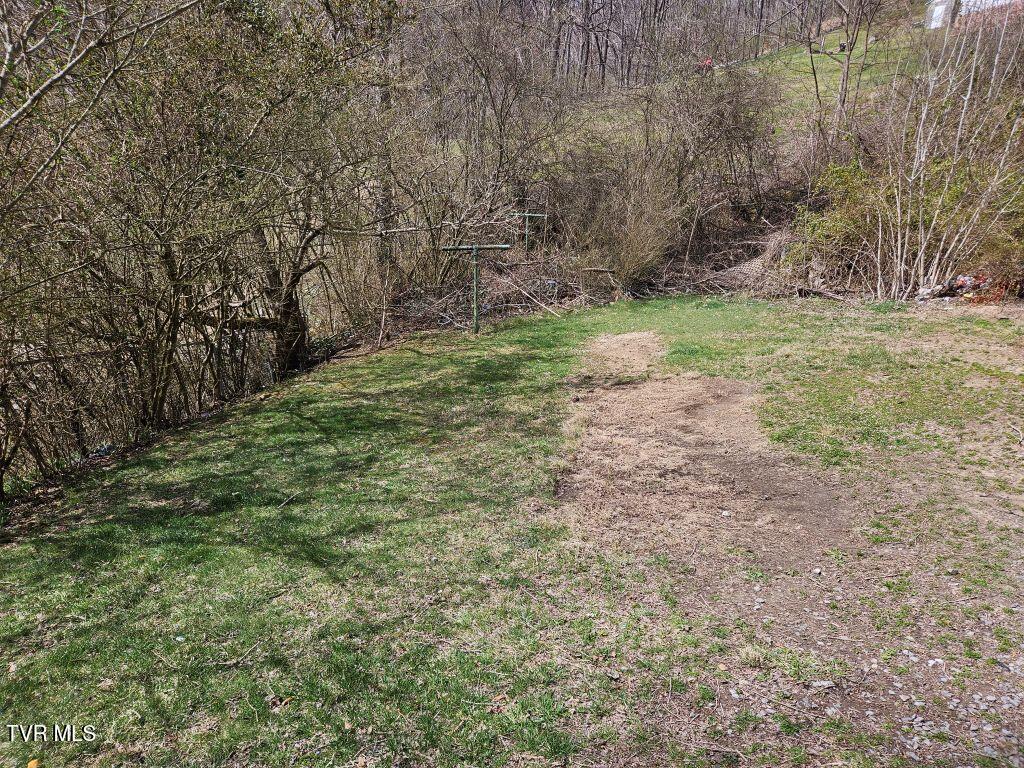 55 Hill Top Drive, Dante, Virginia image 4