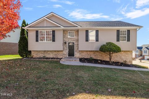 Photo of 248 Stone Edge Circle, Kingsport, TN 37660 (MLS # 9988373)