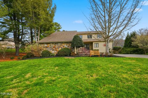 Photo of 236 Lake Meadow Drive, Gray, TN 37615 (MLS # 9993184)