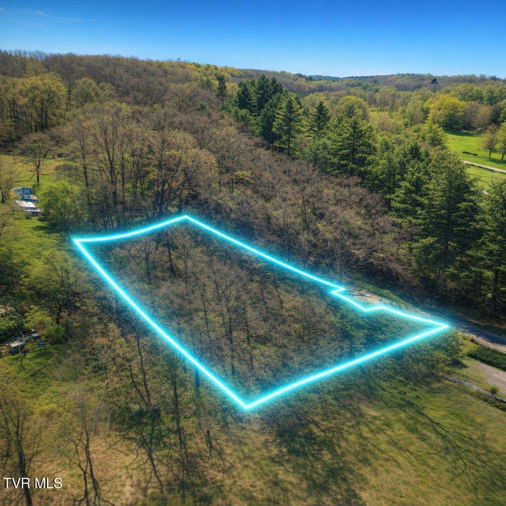 Photo of 324 Locust Hill Drive, Bristol, VA 24201 (MLS # 9999369)