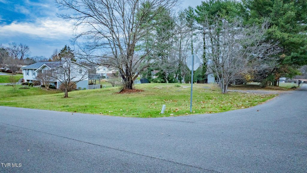 Photo of 403 Lynnwood Drive, Bristol, VA 24201 (MLS # 9988409)