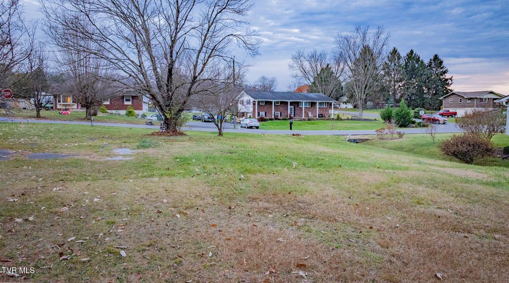 Photo of 403 Lynnwood Drive, Bristol, VA 24201 (MLS # 9988409)