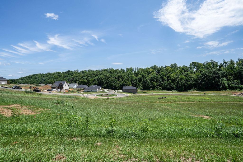 Photo of 440 Gransley Court, Johnson City, TN 37615 (MLS # 9992144)