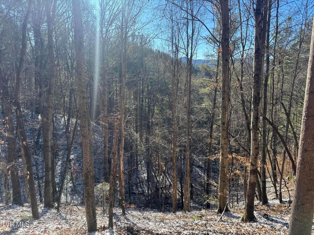 Photo of 0 Clear Branch Road, Flag Pond, TN 37657 (MLS # 9989306)
