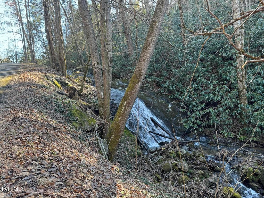 Photo of 0 Clear Branch Road, Flag Pond, TN 37657 (MLS # 9989306)