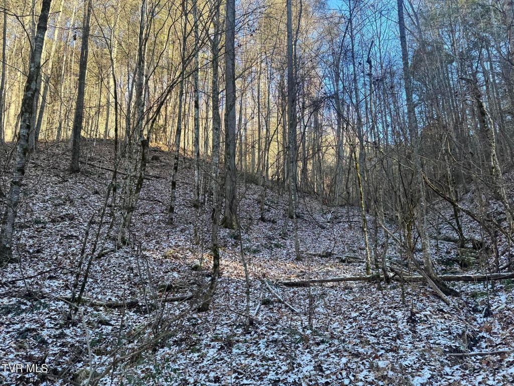 Photo of 0 Clear Branch Road, Flag Pond, TN 37657 (MLS # 9989306)