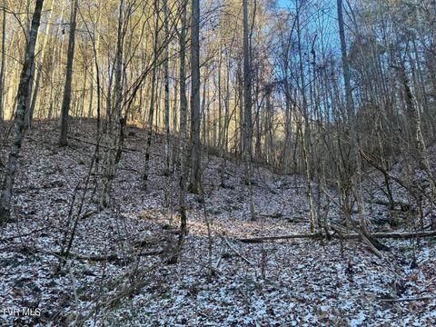 Vacant Land For Sale - Clear Branch Road<br/> Unicoi County, Flag Pond, TN 37657