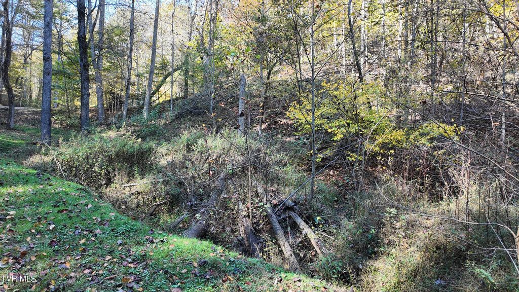 Photo of 1 Canaan Road, Butler, TN 37640 (MLS # 9985315)