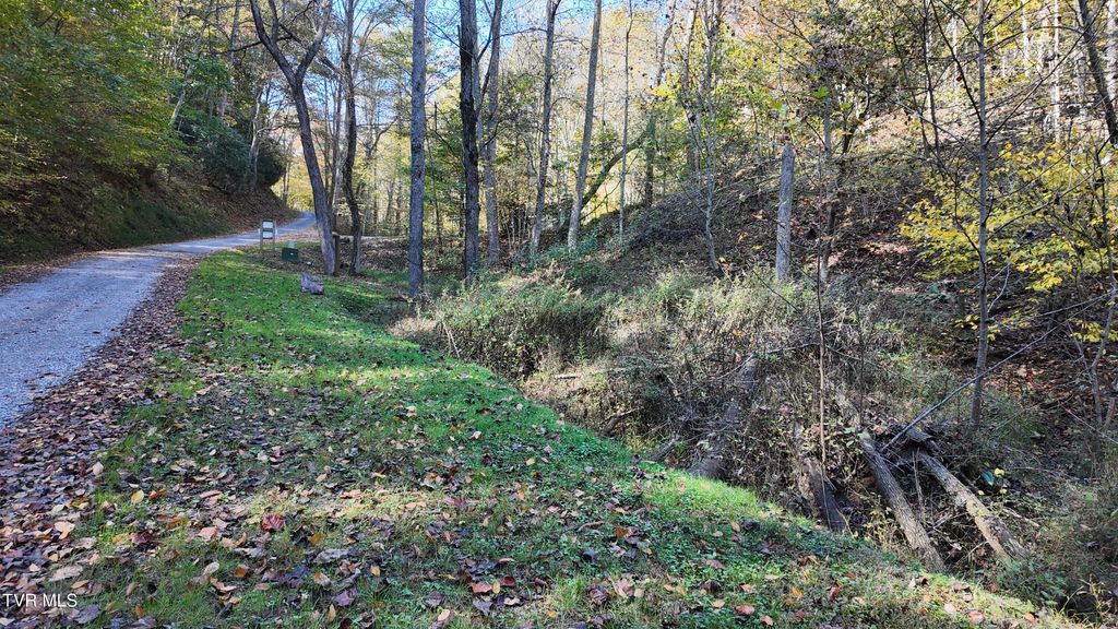 Photo of 1 Canaan Road, Butler, TN 37640 (MLS # 9985315)