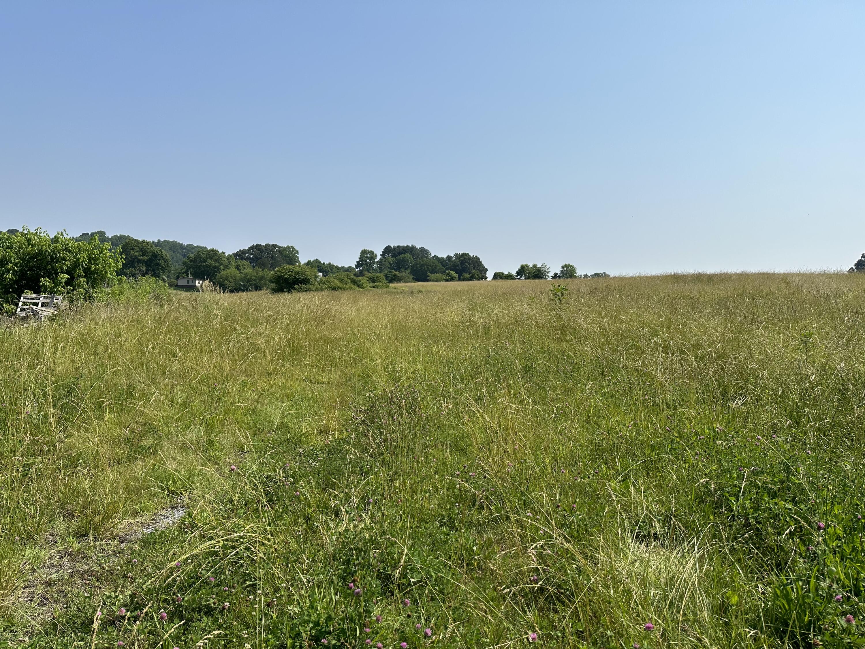 1120 Old Boones Creek Road, Jonesborough, Tennessee image 11