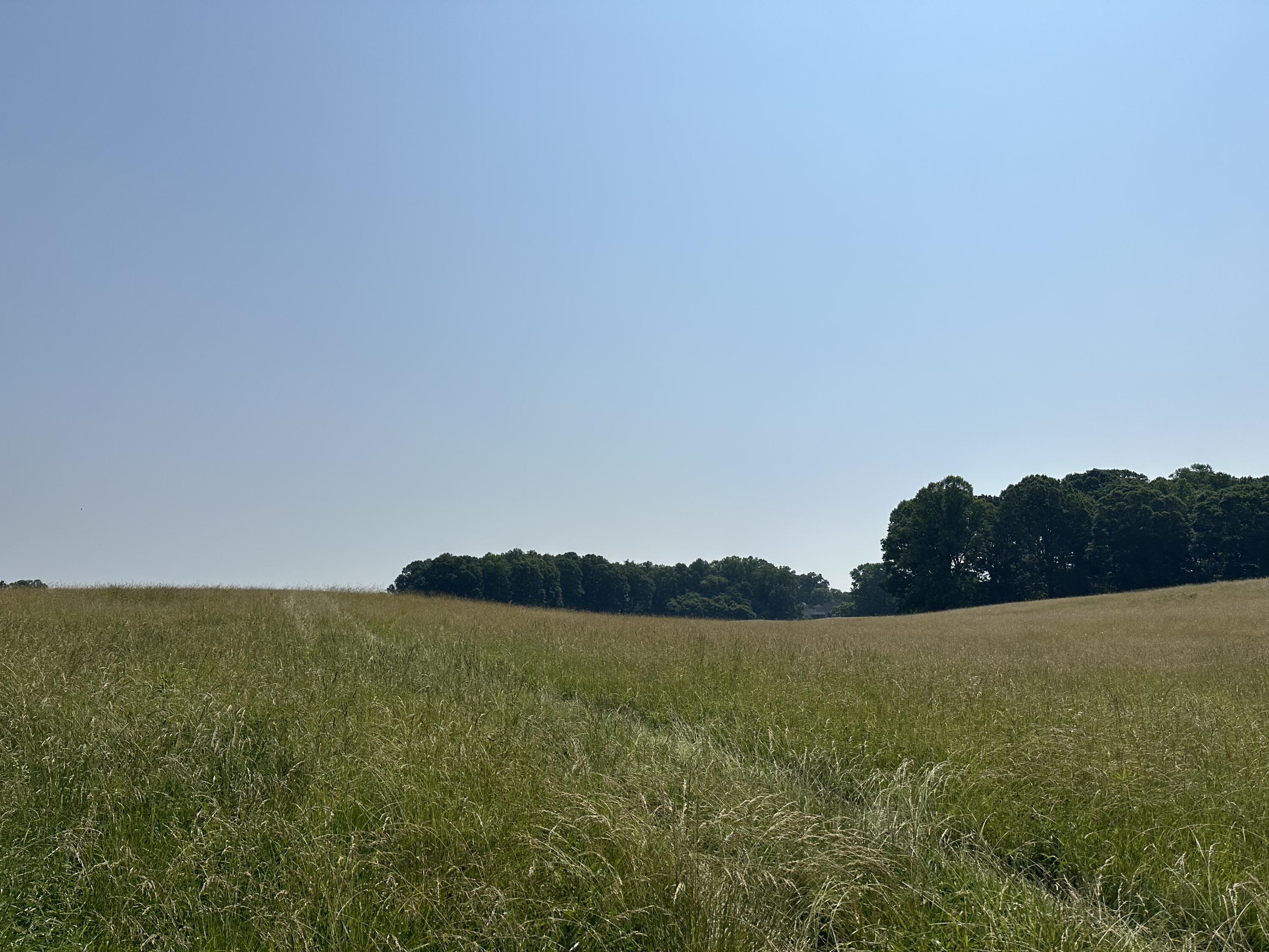 1120 Old Boones Creek Road, Jonesborough, Tennessee image 12