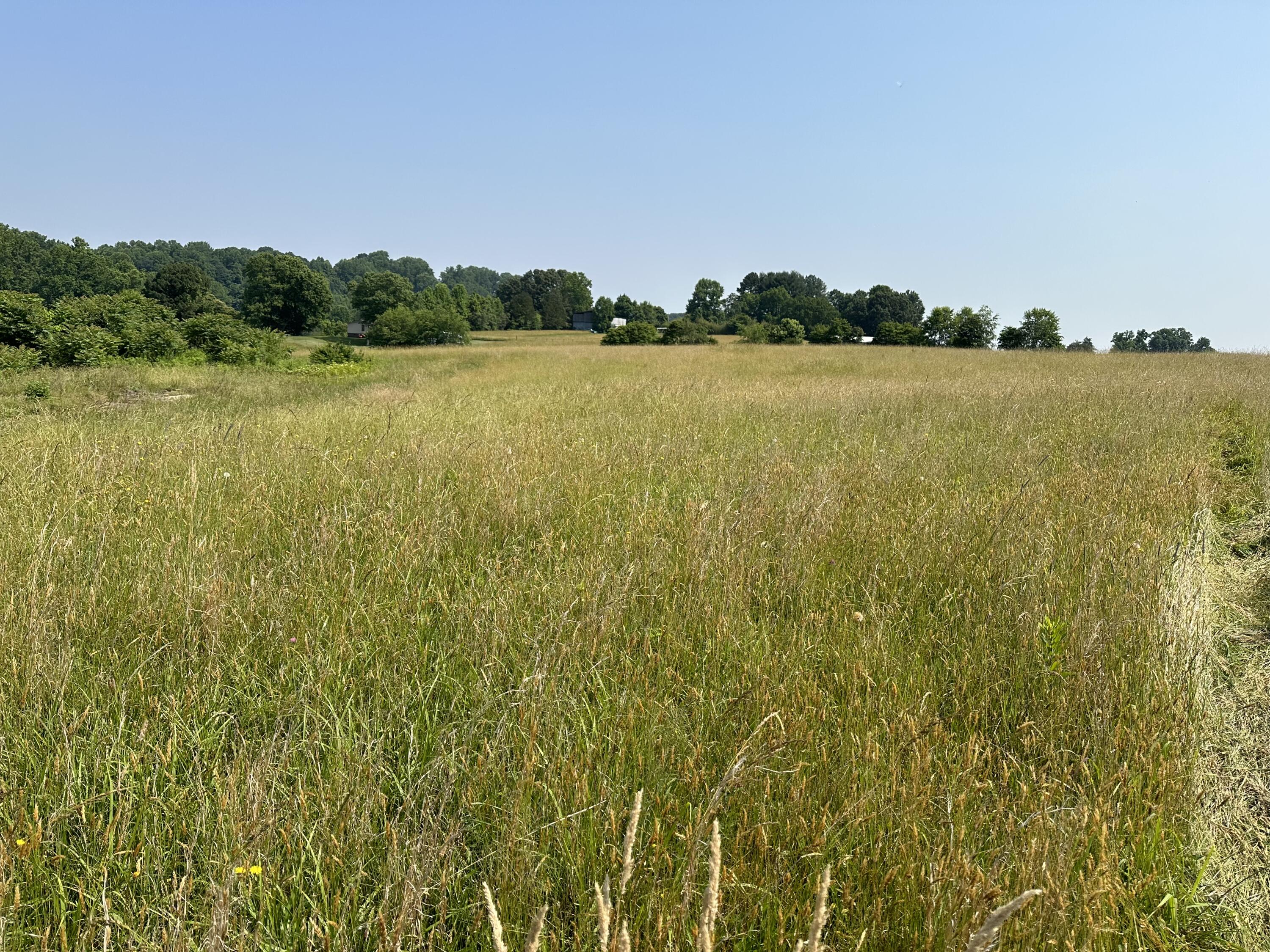 1120 Old Boones Creek Road, Jonesborough, Tennessee image 14